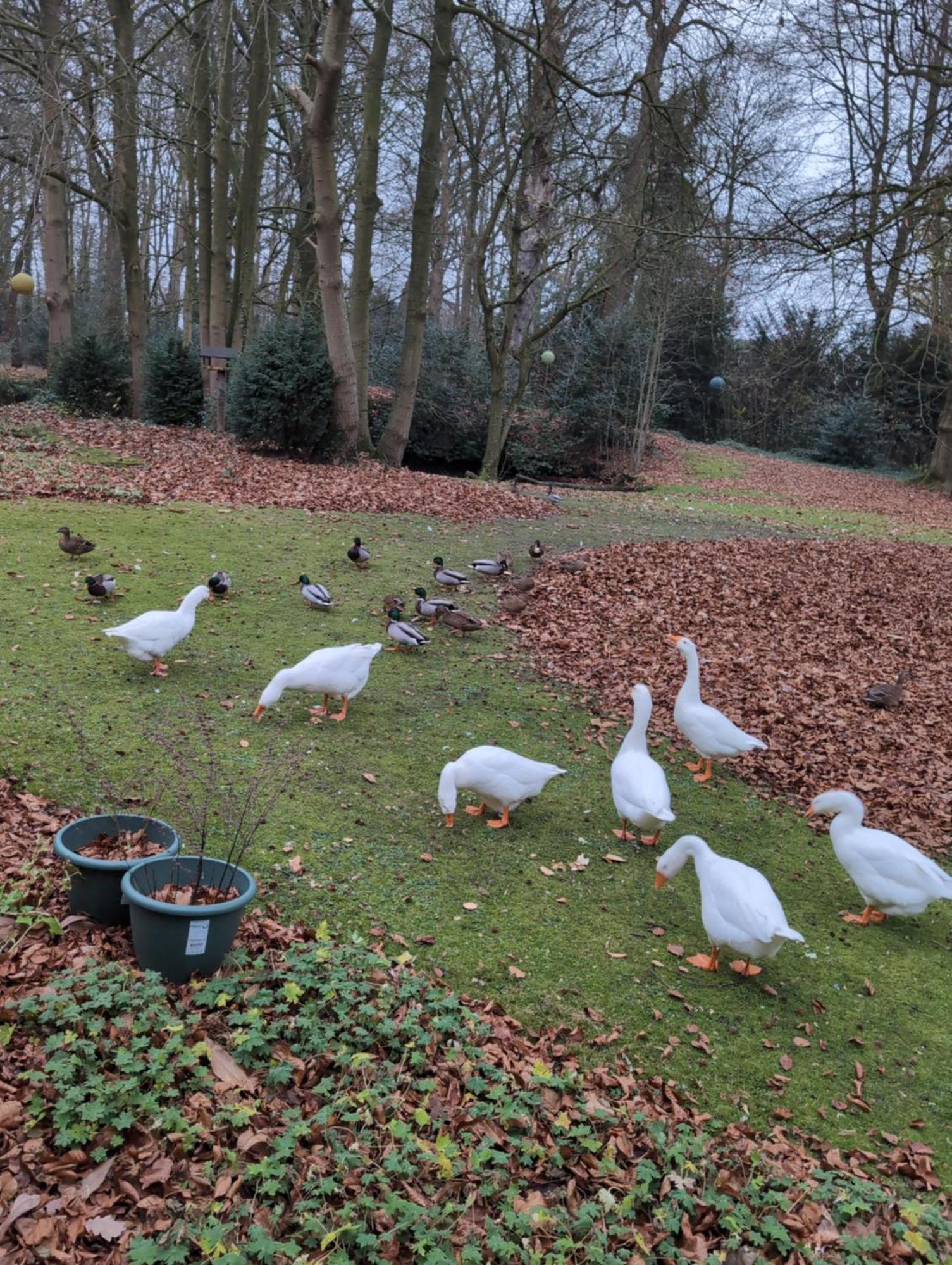 Eremyten Hof Evergem Bagian luar foto