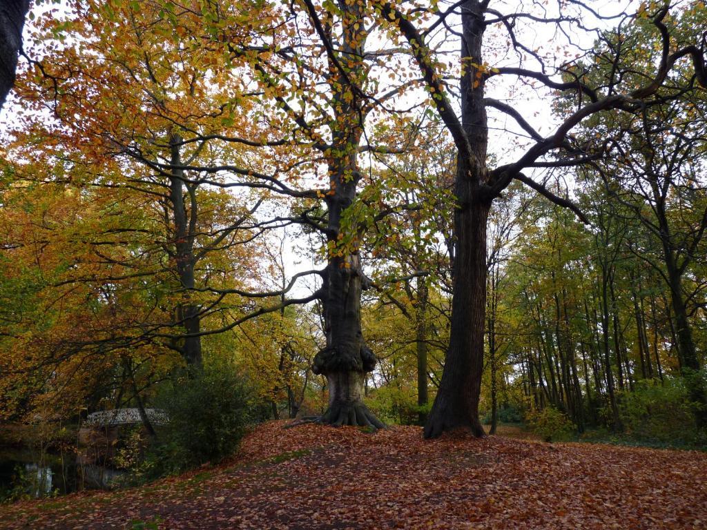 Eremyten Hof Evergem Bagian luar foto